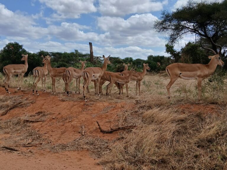 WhatsApp Image 2025-09-04 at 6.49.54 PM