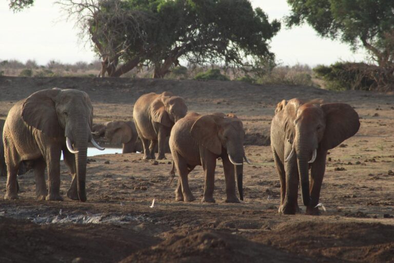 WhatsApp Image 2025-09-20 at 12.31.40 PM