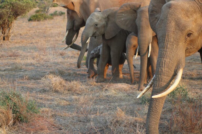 WhatsApp Image 2025-09-20 at 12.31.46 PM