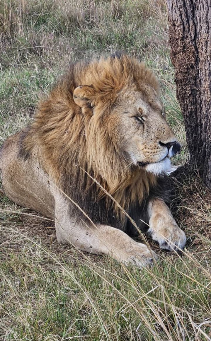 WhatsApp Image 2025-12-16 at 2.35.20 PM